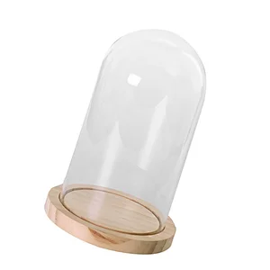 Cloche Display Glass Dome with Wooden Base for Wedding Mother's Day Party DIY Decoration