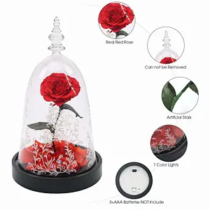 2018 Wholesale New Product Preserved Rose In Cloche Glass Dome With Wooden Base