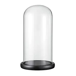 Cloche Display Glass Dome with Wooden Base for Wedding Mother's Day Party DIY Decoration