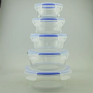 Glass Meal Prep Food Storage Container with Snap Locking Lid