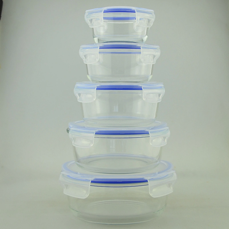 Glass Meal Prep Food Storage Container with Snap Locking Lid