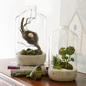 Transparent Glass Vase with Cement Bottom For Decoration