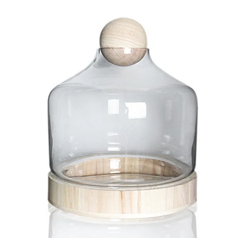 Transparent Glass Vase with Cement Bottom For Decoration