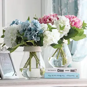 Clear Glass Vase for Home Decoration and Flower
