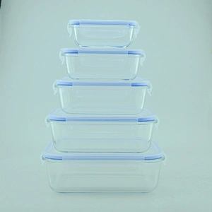 Glass Meal Prep Food Storage Container with Snap Locking Lid