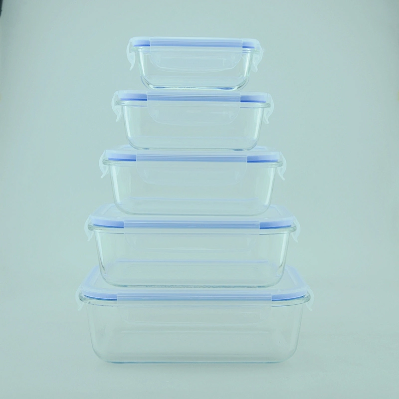 Glass Meal Prep Food Storage Container with Snap Locking Lid