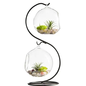 Hanging Glass Vase Plant Terrarium with Black or White Metal Stand