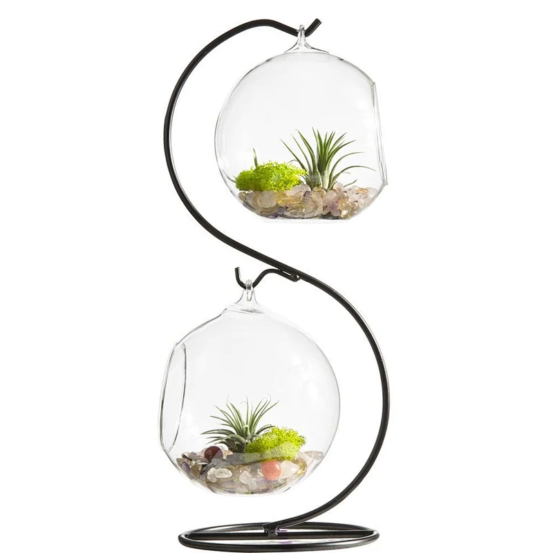Hanging Glass Vase Plant Terrarium with Black or White Metal Stand