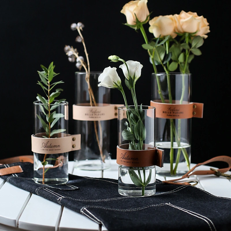 Creative Handblown Glass Hydroponic Plant Terrarium With Leather Bind