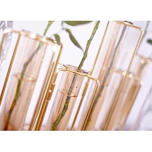 Modern Hydroponics Glass Container Simple Borosilicate Glass Tube Vase With Metal Holder