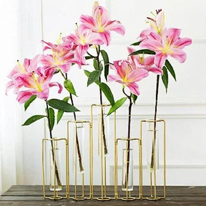 Modern Hydroponics Glass Container Simple Borosilicate Glass Tube Vase With Metal Holder