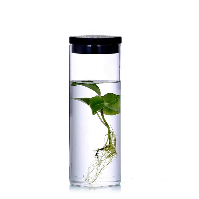 Wholesale Miniature Terrarium Glass Plant