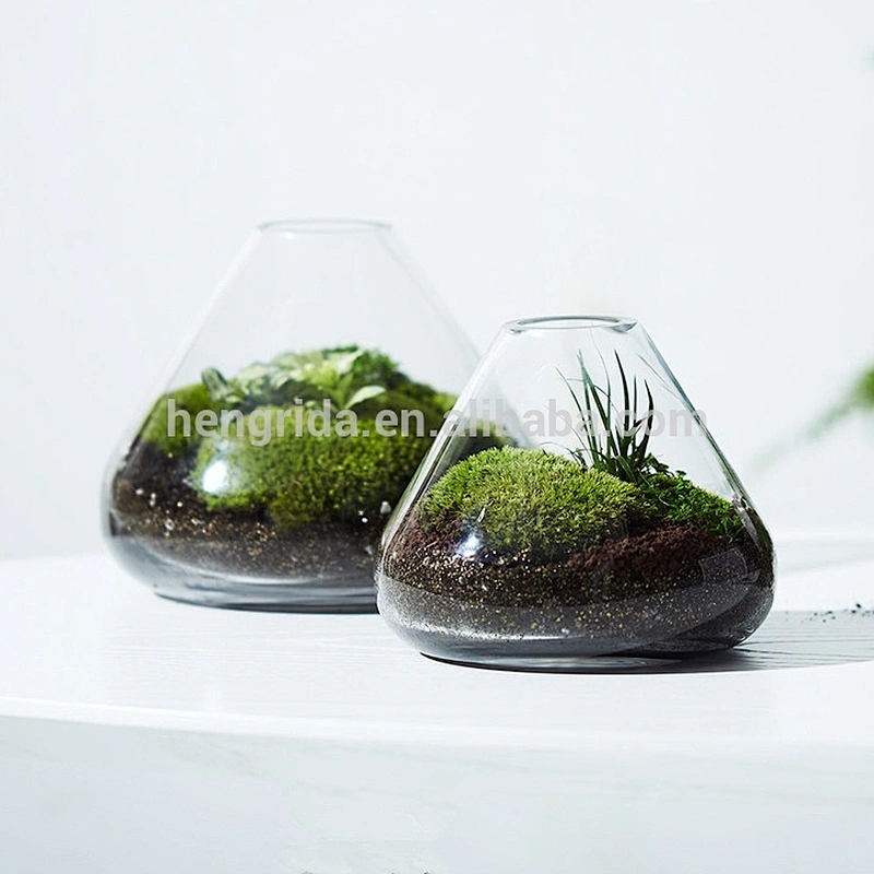 Customized Borosilicate Ornamental Cone Shaped Glass Vase for Home Decoration