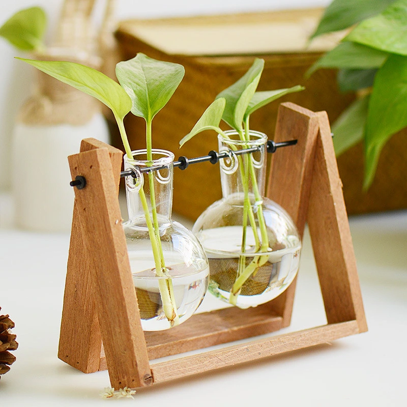 Clear Handblown Glass Hanging Hydroponic Plant Terrarium With Wood Stand