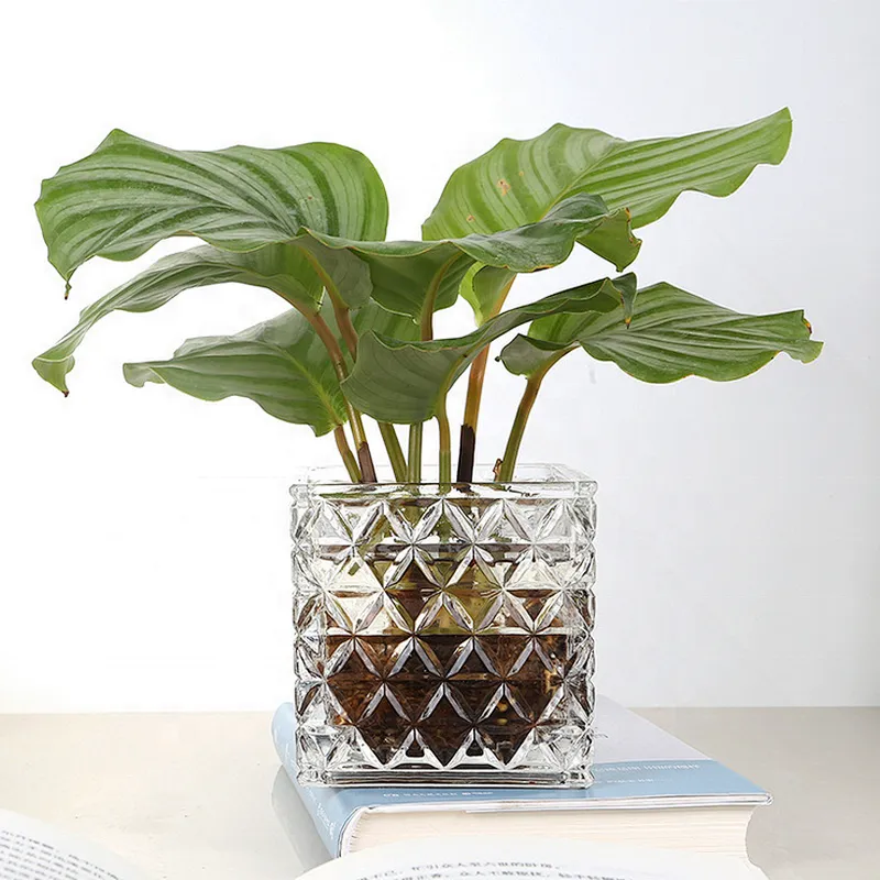 Multi-functional 4'' cube flower glass vase for home decoration and flower