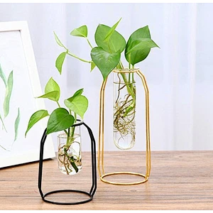 Modern Simple Small Hydroponics Glass Vase for Home Wedding Decor