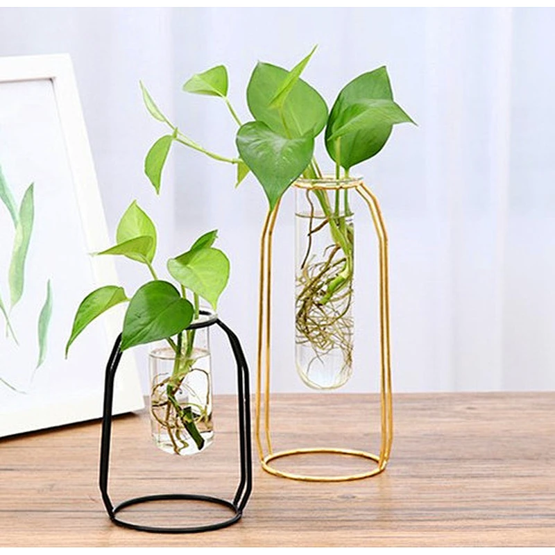 Modern Simple Small Hydroponics Glass Vase for Home Wedding Decor