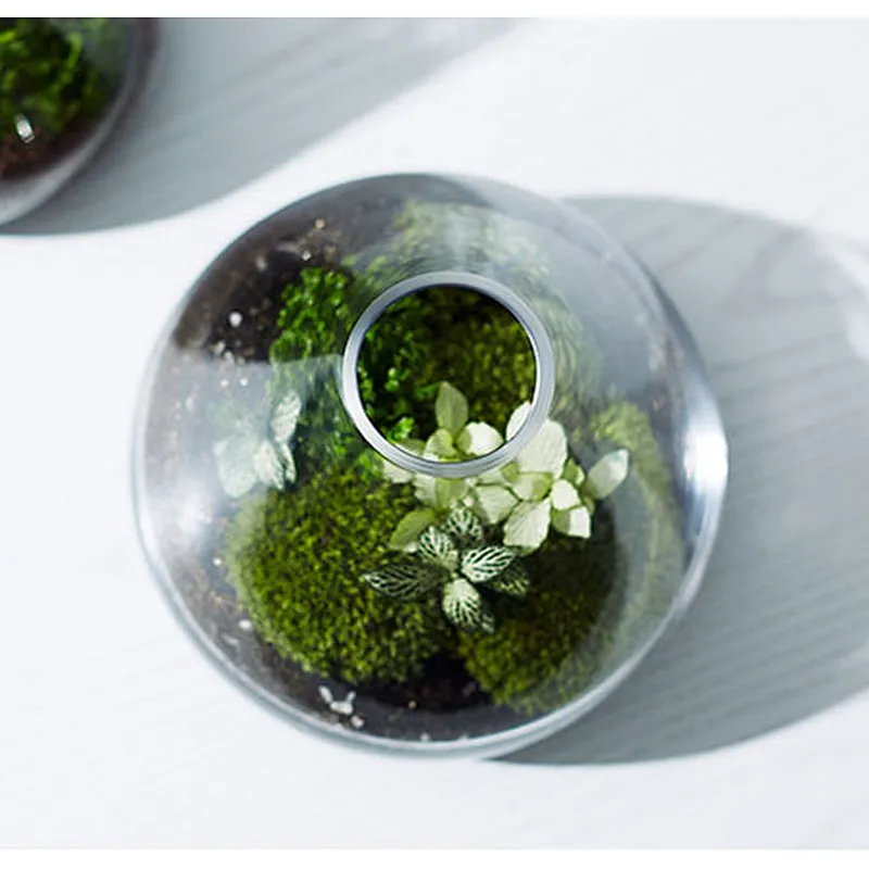 Customized Borosilicate Ornamental Cone Shaped Glass Vase for Home Decoration