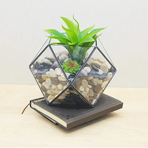 Indoor Use Desktop Glass & Copper Geometric Planter Succulent Plant Geometric Terrarium For Home Decor Hotel Decor