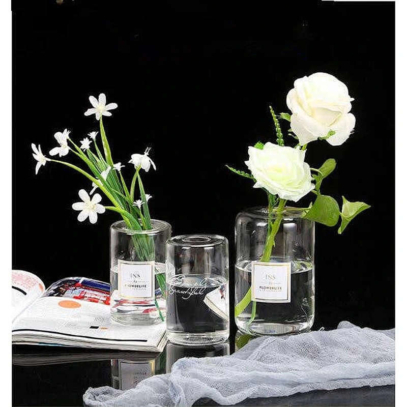 High Borosilicate Small Mouth Glass Vase/Creative Dry Flower Perfume Bottle /Flower Hydroponic Bottle