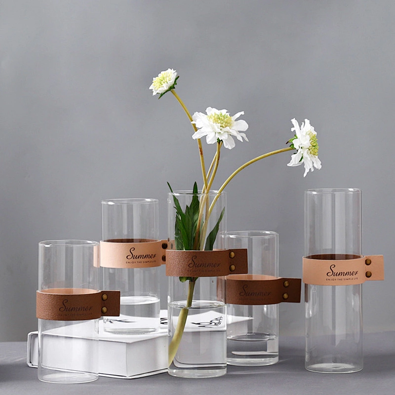 Creative Handblown Glass Hydroponic Plant Terrarium With Leather Bind