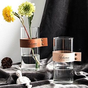 Creative Handblown Glass Hydroponic Plant Terrarium With Leather Bind