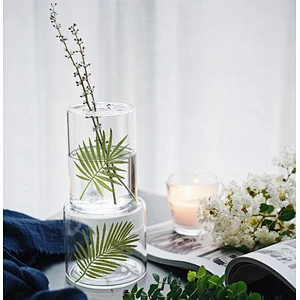High Borosilicate Small Mouth Glass Vase/Creative Dry Flower Perfume Bottle /Flower Hydroponic Bottle