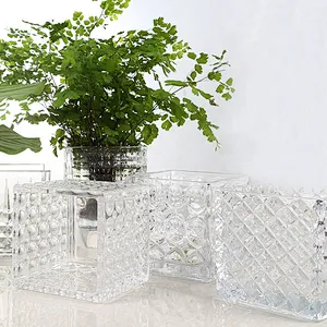 Multi-functional 4'' cube flower glass vase for home decoration and flower