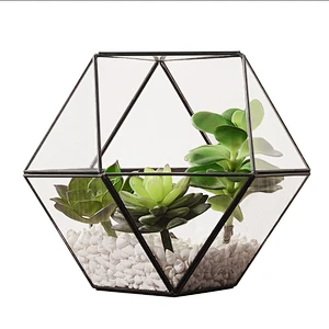 Indoor Use Desktop Glass & Copper Geometric Planter Succulent Plant Geometric Terrarium For Home Decor Hotel Decor