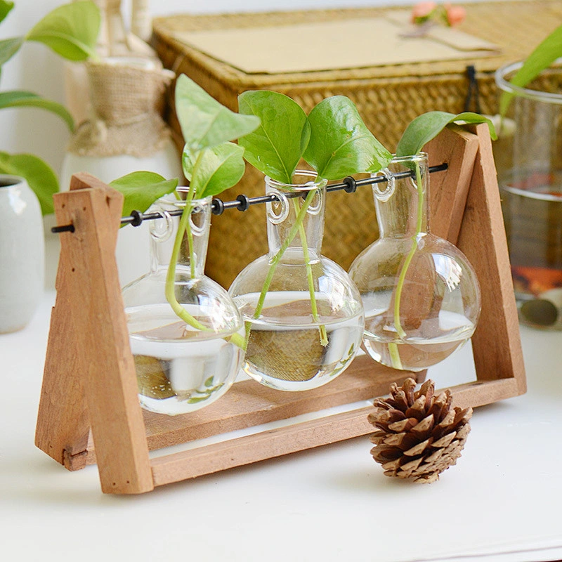Clear Handblown Glass Hanging Hydroponic Plant Terrarium With Wood Stand