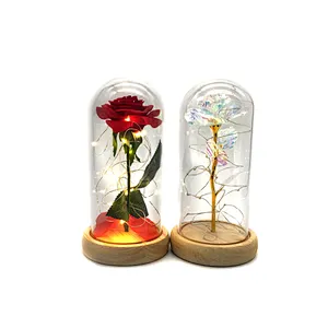 the Beauty and The Beast Rose with Lamp in the glass dome