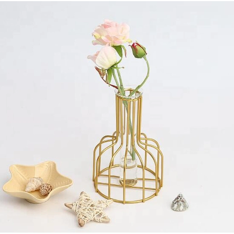 Nordic ins iron gold hydroponic vase decoration