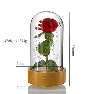 2019 Wholesale New Product Preserved Rose In Cloche Glass Dome With Wooden Base