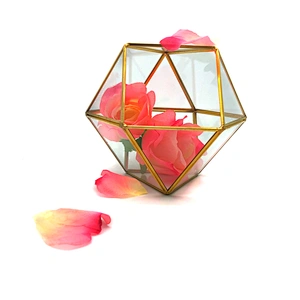 Geometric Shape Handicraft Jewelry Terrarium for Home Decoration