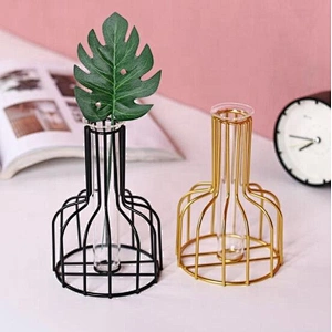 Nordic ins iron gold hydroponic vase decoration