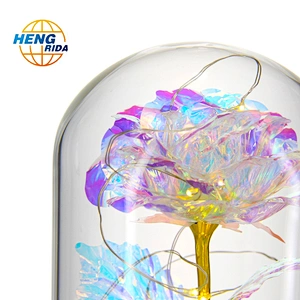 2019 Wholesale New Product Preserved Rose In Cloche Glass Dome With Wooden Base