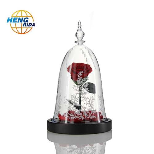 Rose Beautiful Artificial Red Eternal Rose Preserved Flower With Led Lights In Glass Dome for festival or birthday
