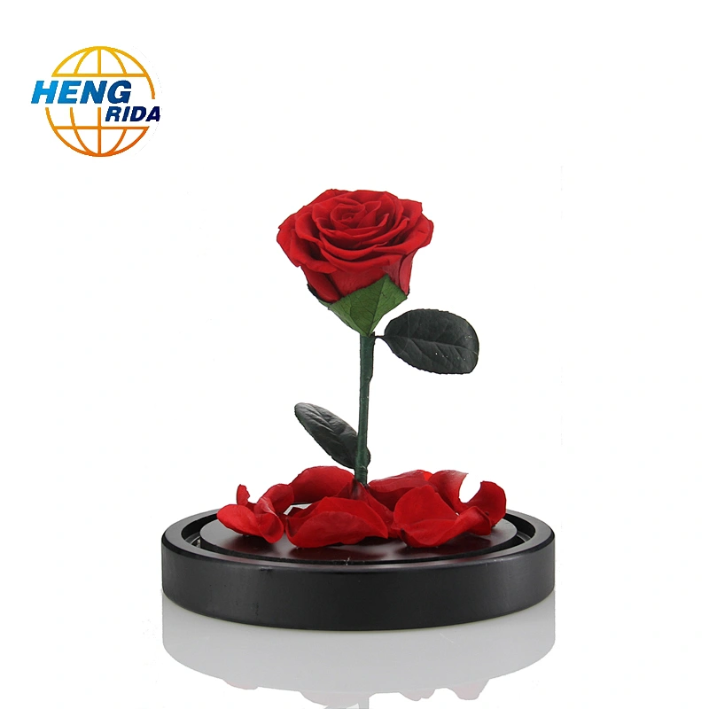 Rose Beautiful Artificial Red Eternal Rose Preserved Flower With Led Lights In Glass Dome for festival or birthday
