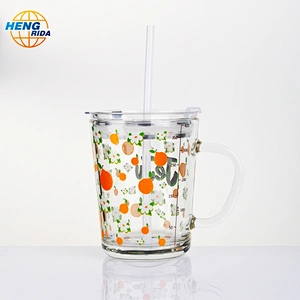 Hot & Cold Drinking Glass Patterned Cup with Handle & Lid
