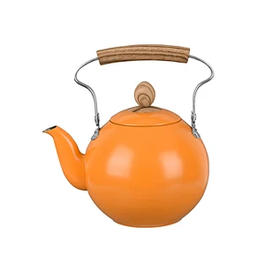 P222721B20 2019 Newly Design elegant stainless steel pot water kettle with colorful body