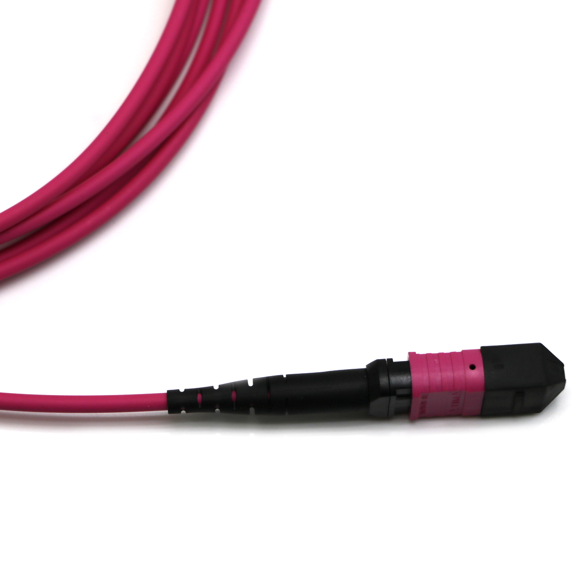 OM4 Magenta Fiber Optic Patch cord