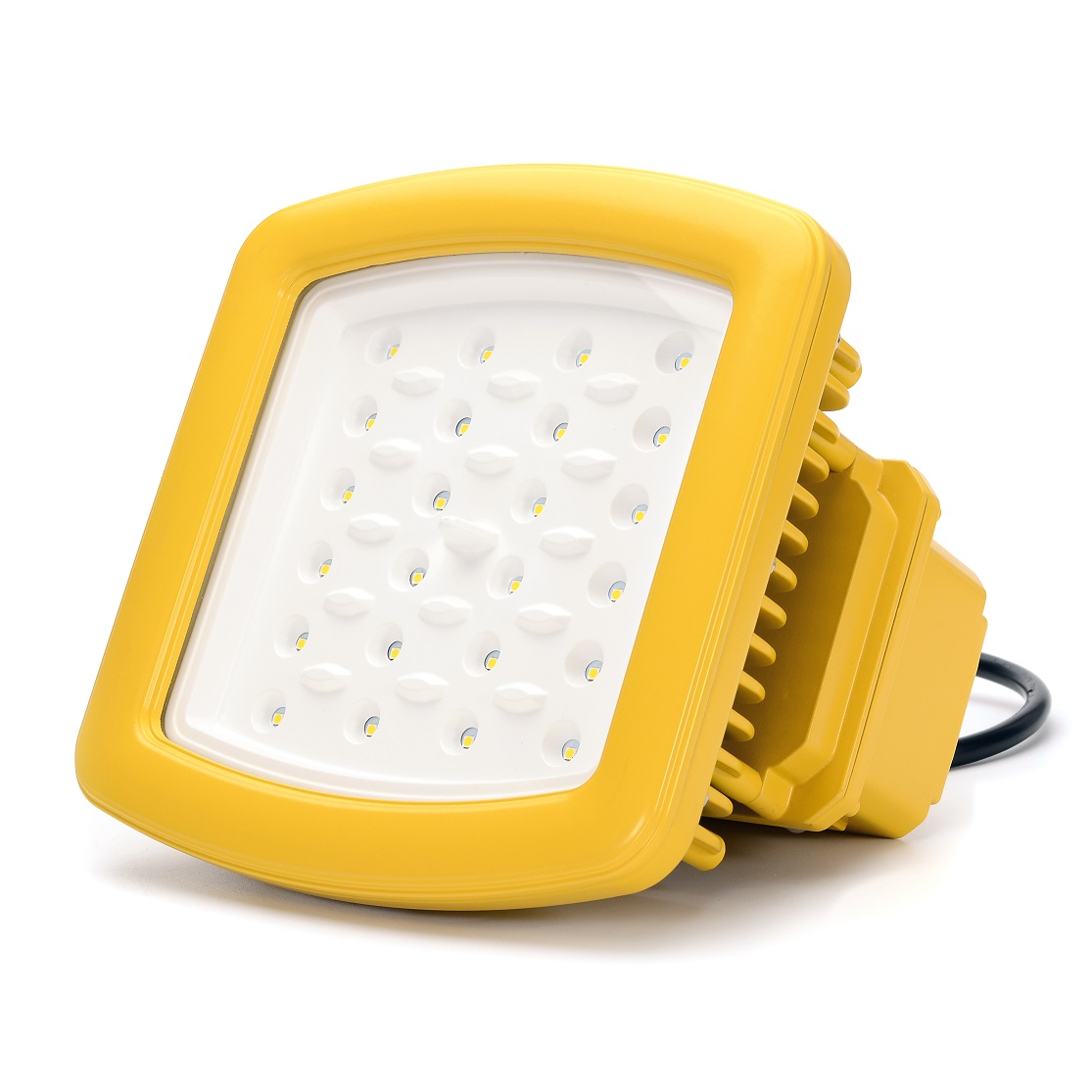 Ex LED floodlight & drop light CES-J40  for C1 D2