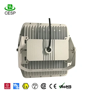 100W High power LED gas station light