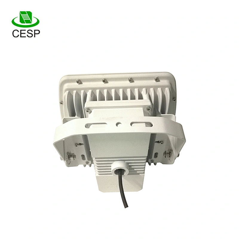 ATEX UL844 approved explosion proof LED gas station light 100W