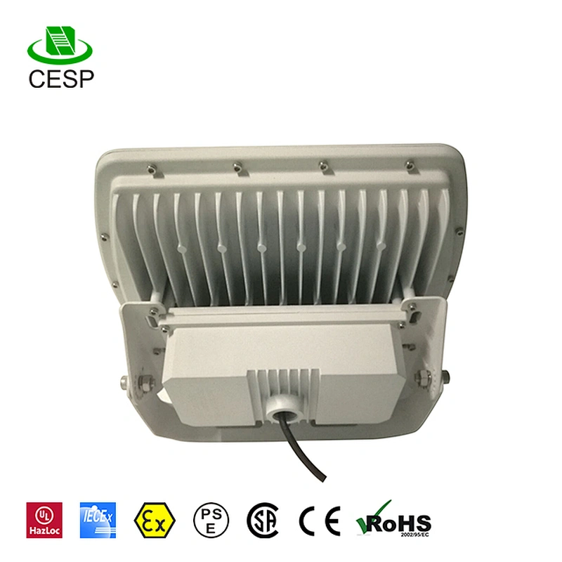 100W High power LED gas station light