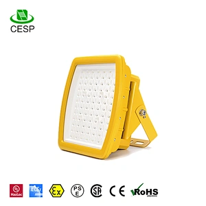 Top quality explosion proof led light for gas station canopy lighting