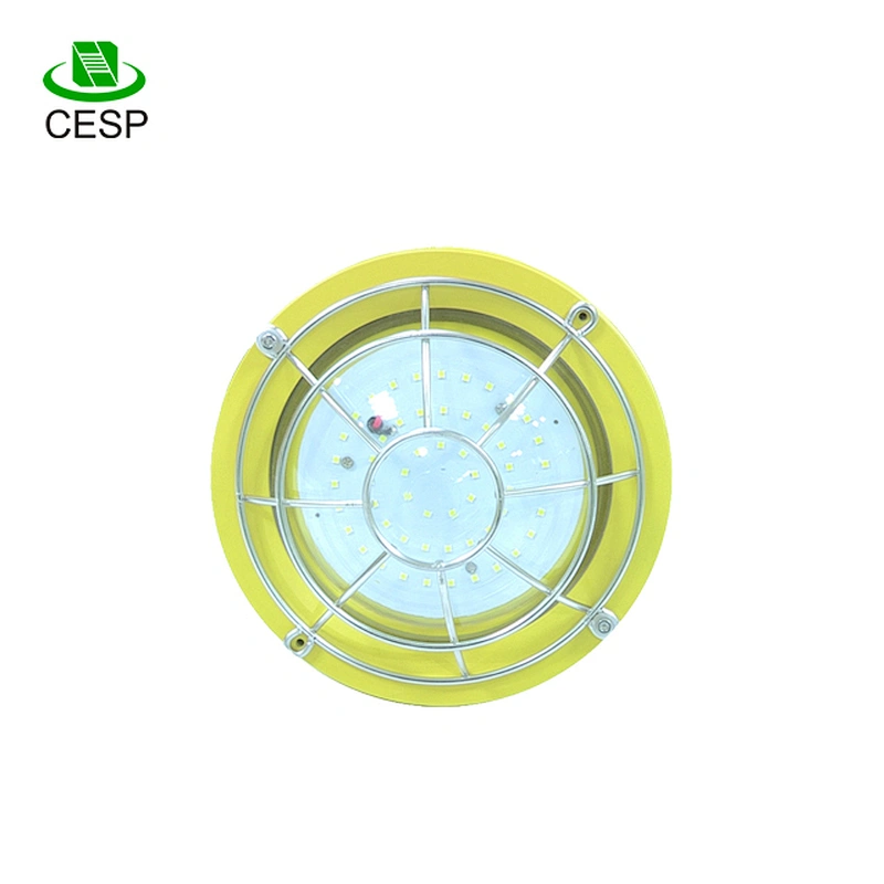 Low profile LED Canopy Light
