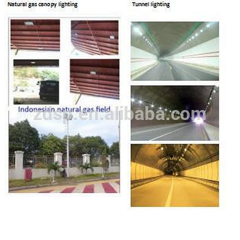 IECex UL DLC CE IP68 indoor outdoor 80w led canopy flood high bay light