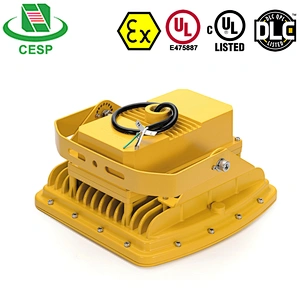 CESP IP68 explosion led canopy light for gas station
