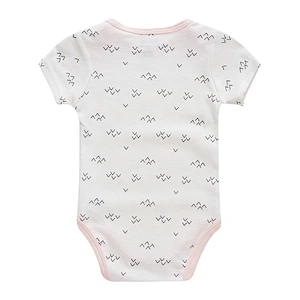 Newborn Baby Bodysuit 5 pieces Clothes gift set